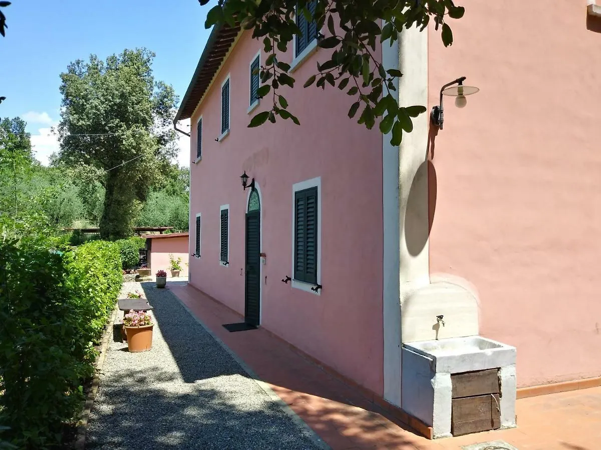 Podere Il Leccione Palaia Holiday home