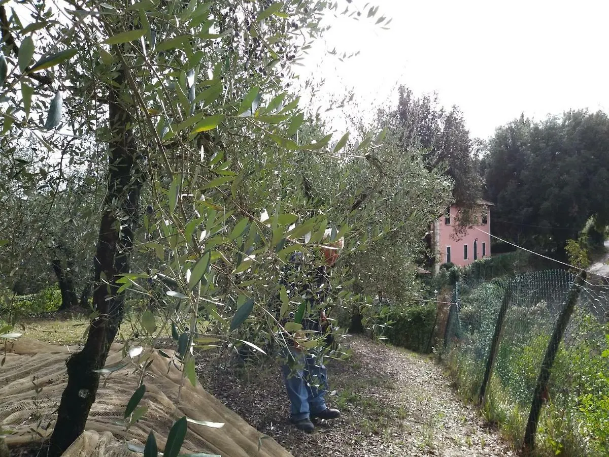 Holiday home Podere Il Leccione Palaia