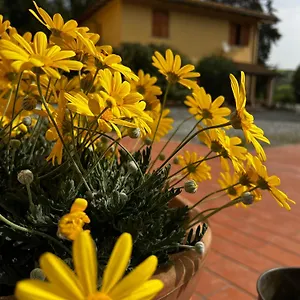 Alloggio per agriturismo La Cerbana, Palaia