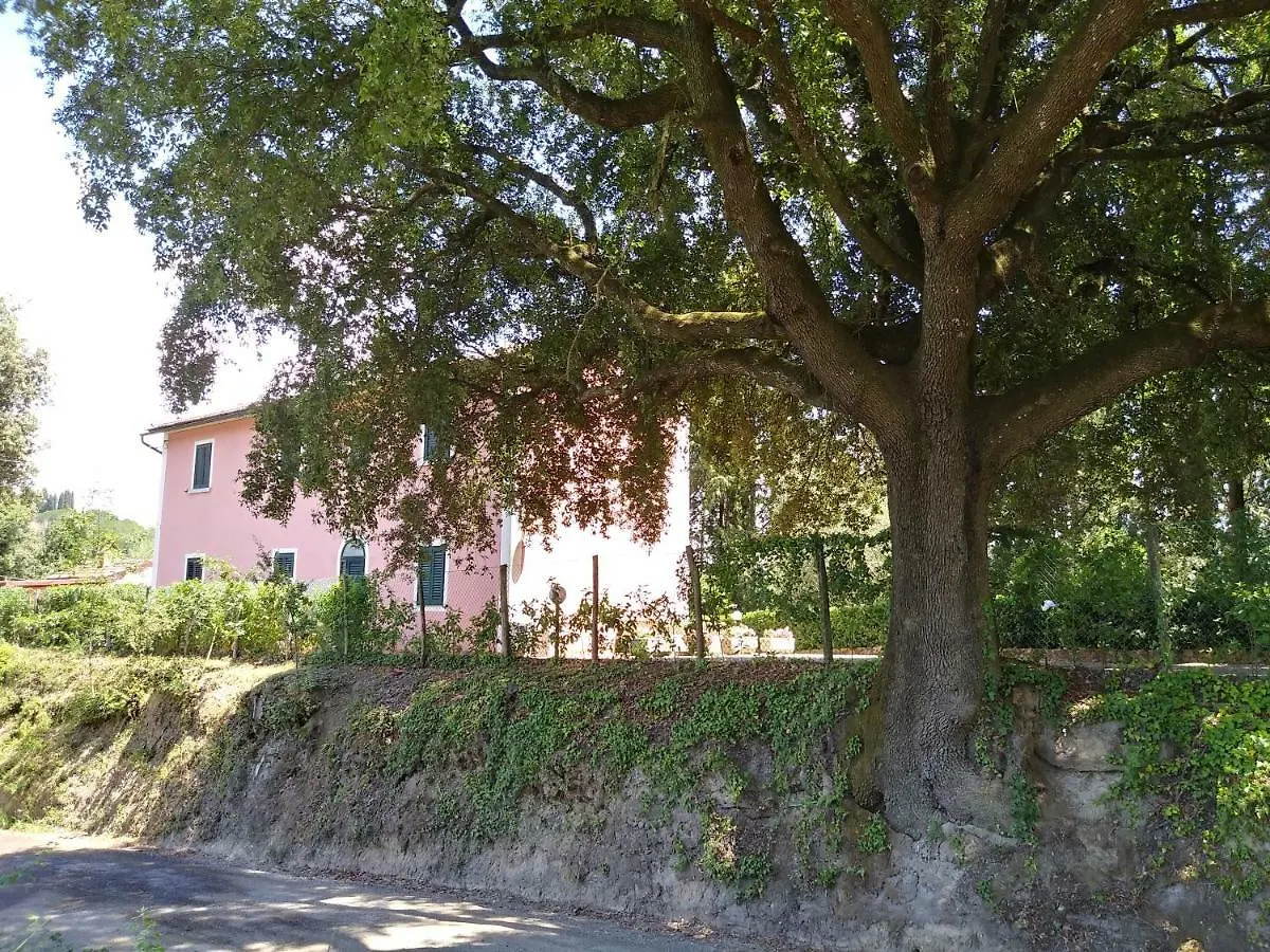 Prázdninový dům Podere Il Leccione Palaia
